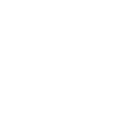 Villrein